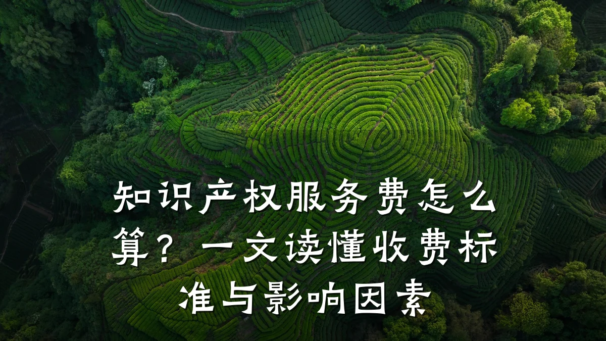 知识产权服务费怎么算?一文读懂收费标准与影响因素