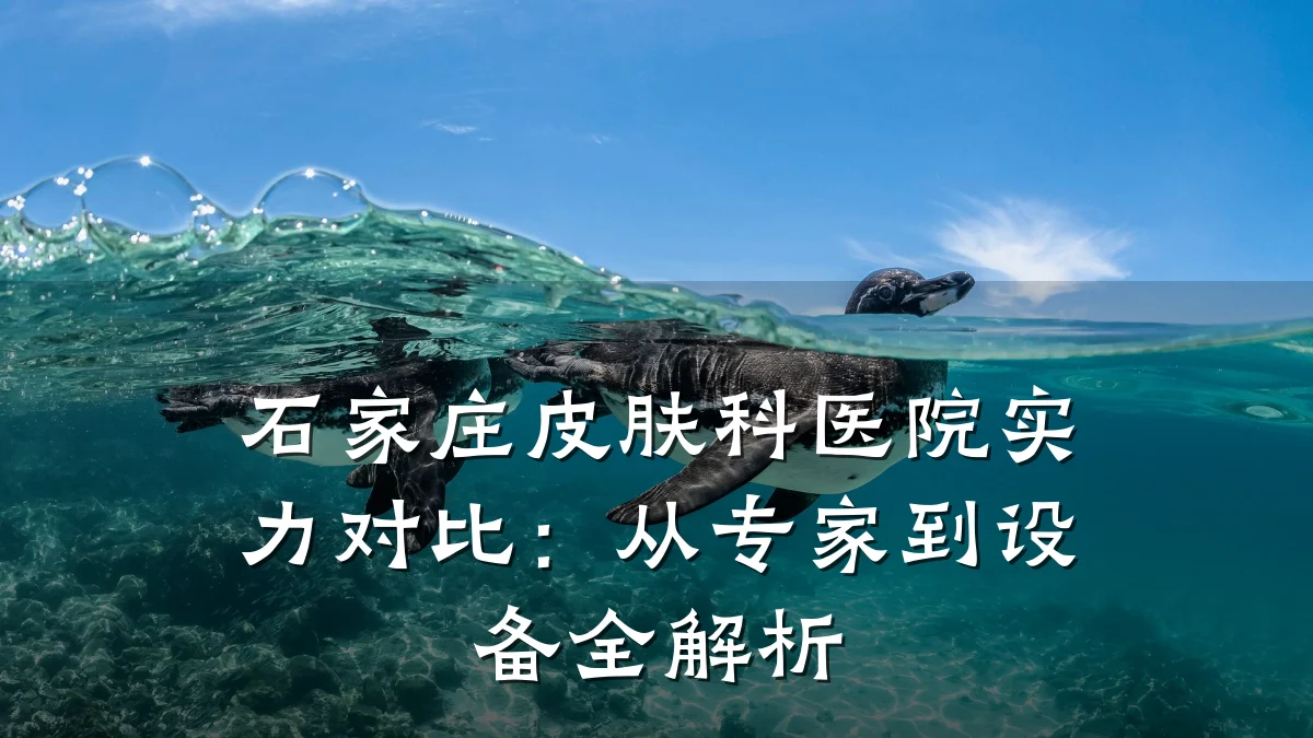 石家庄皮肤科医院实力对比：从专家到设备全解析