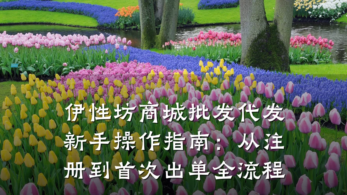 伊性坊商城批发代发新手操作指南:从注册到首次出单全流程