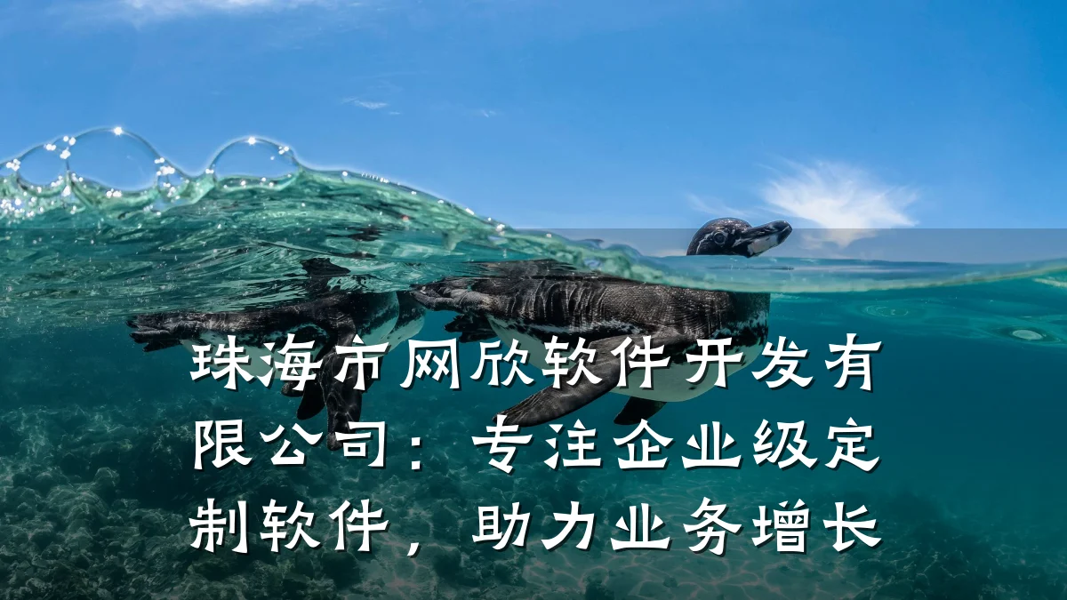 珠海市网欣软件开发有限公司:专注企业级定制软件,助力业务增长