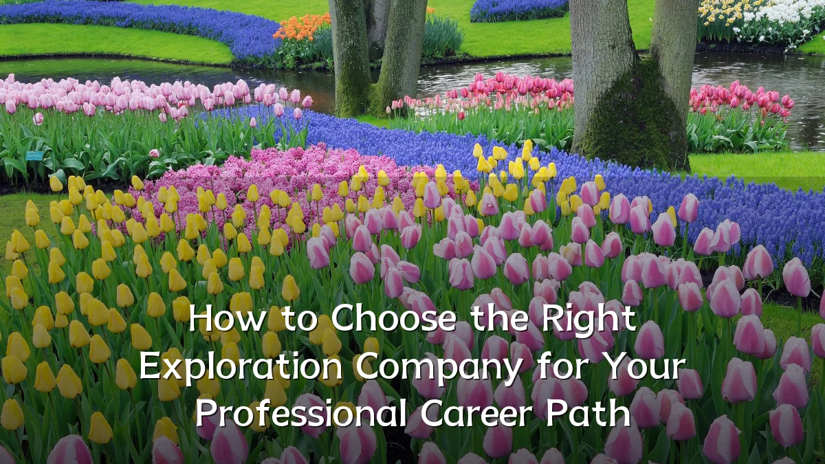 How to Choose the Right Exploration Company for Your Professional Career Path