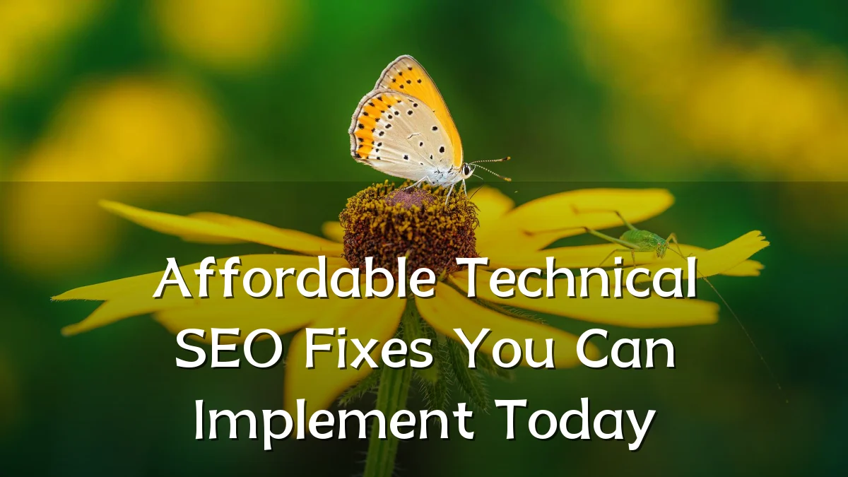 Affordable Technical SEO Fixes You Can Implement Today