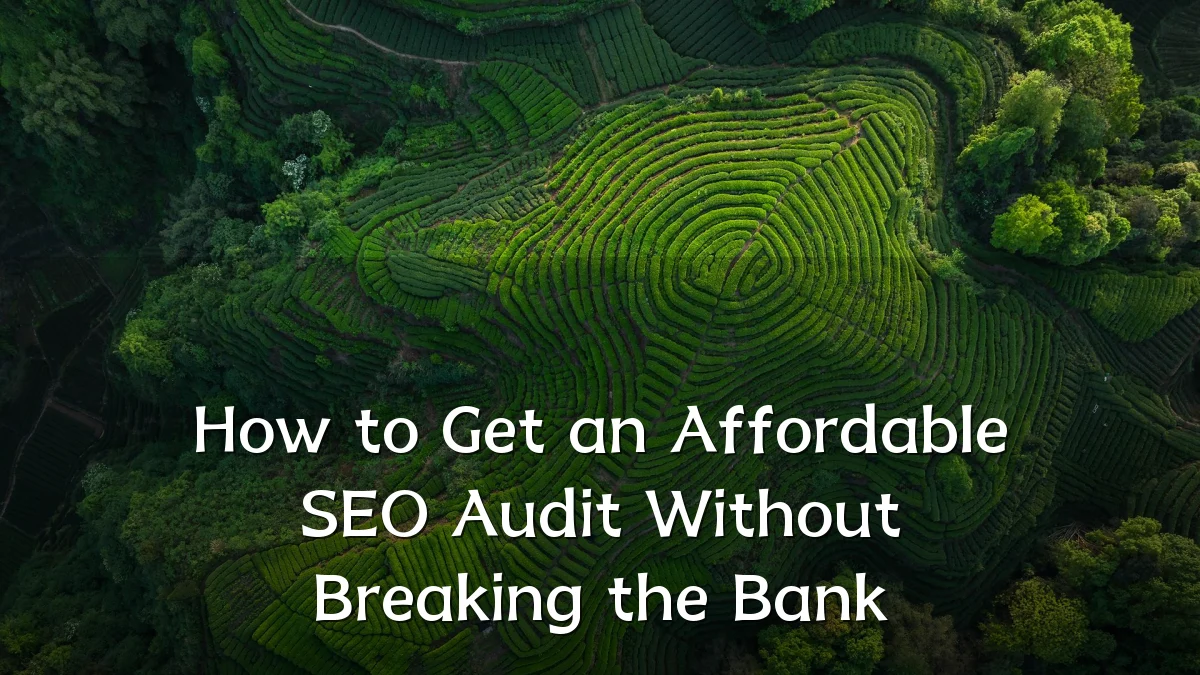 How to Get an Affordable SEO Audit Without Breaking the Bank