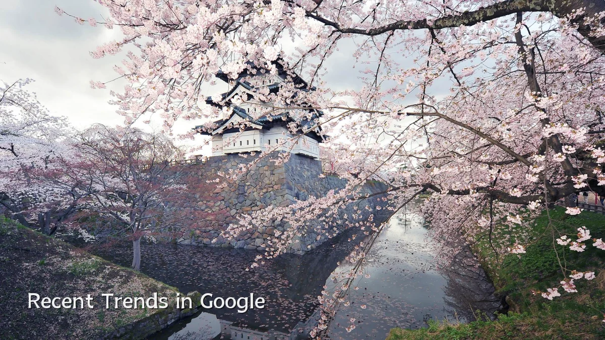 Recent Trends in Google