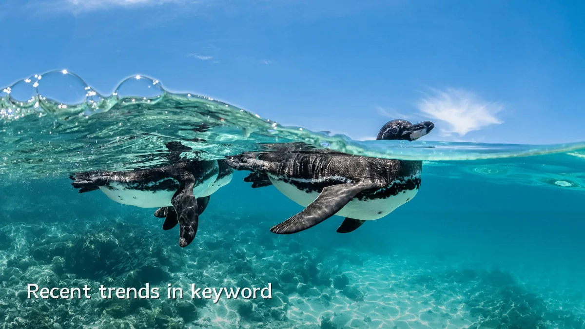 Recent trends in keyword