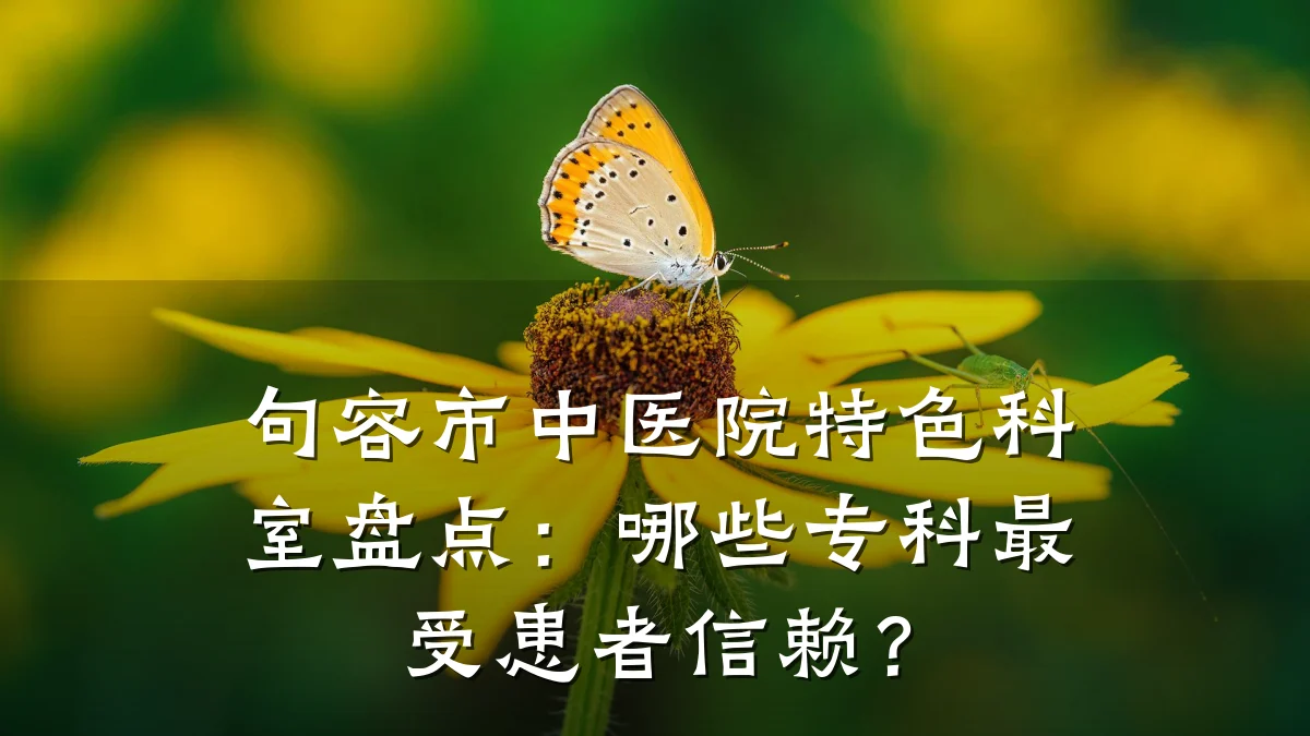 句容市中医院特色科室盘点:哪些专科最受患者信赖?