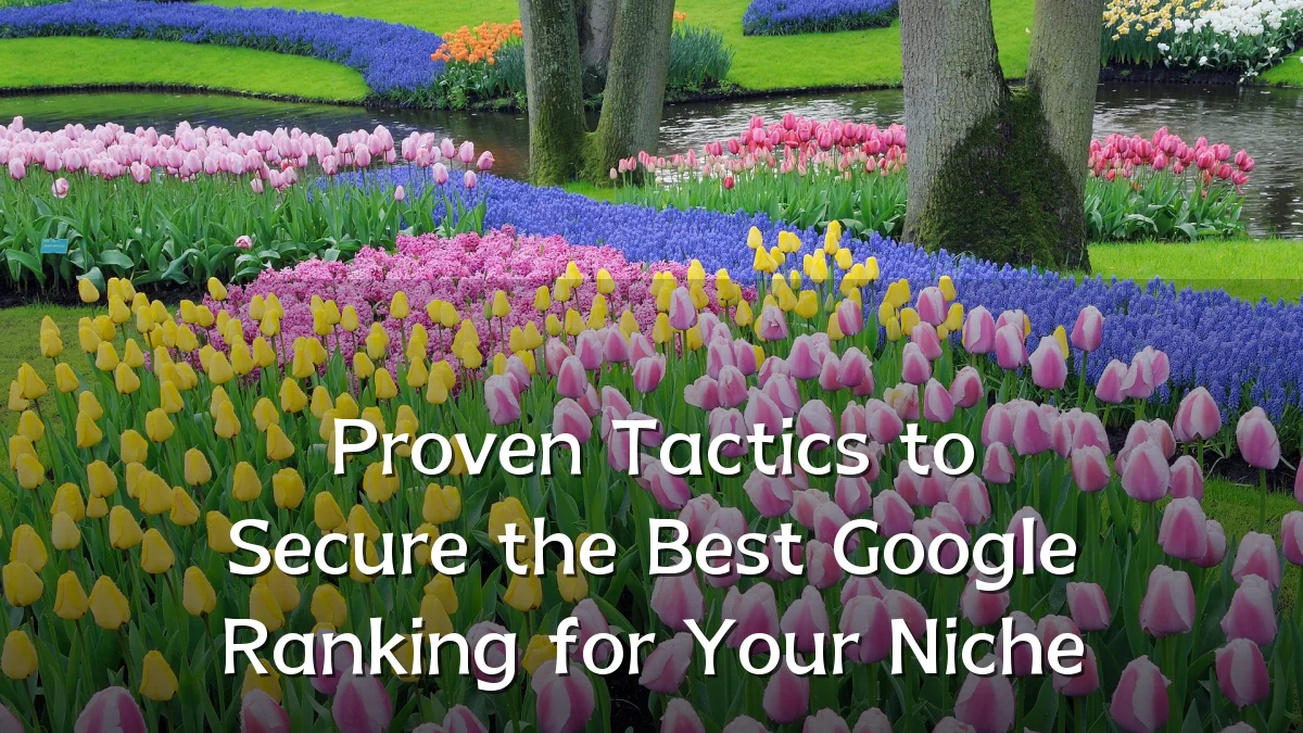 Proven Tactics to Secure the Best Google Ranking for Your Niche