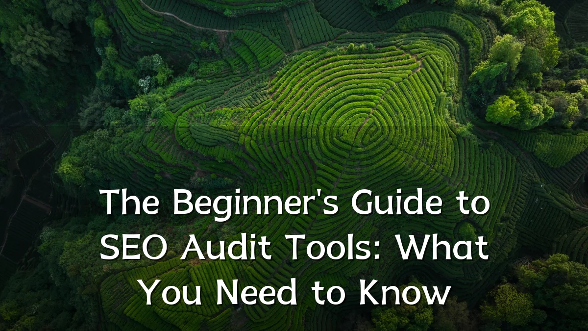 The Beginner's Guide to SEO Audit Tools: What You Need to Know