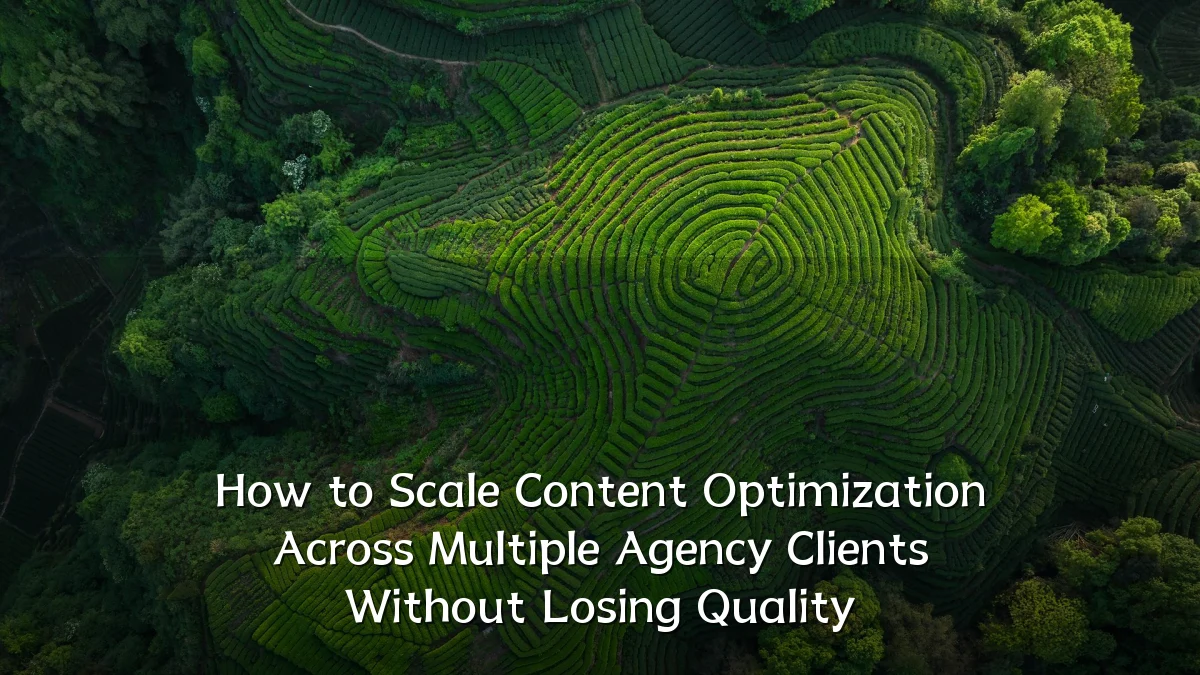 How to Scale Content Optimization Across Multiple Agency Clients Without Losing Quality