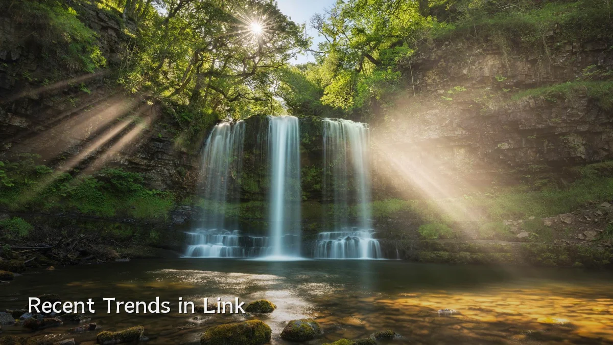 Recent Trends in Link