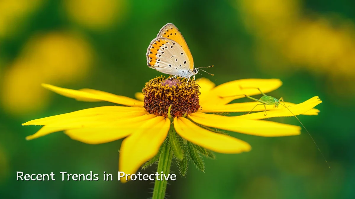 Recent Trends in Protective