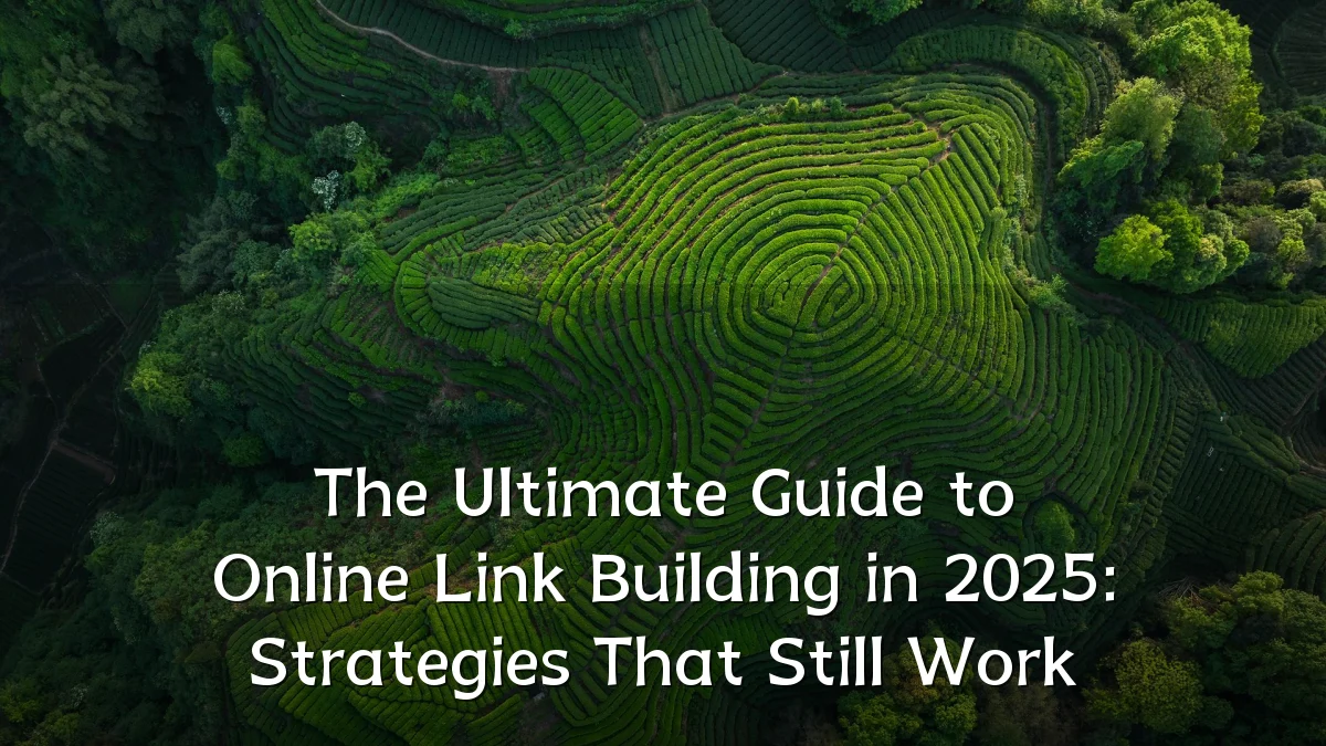 The Ultimate Guide to Online Link Building in 2025: Strategies That Still Work