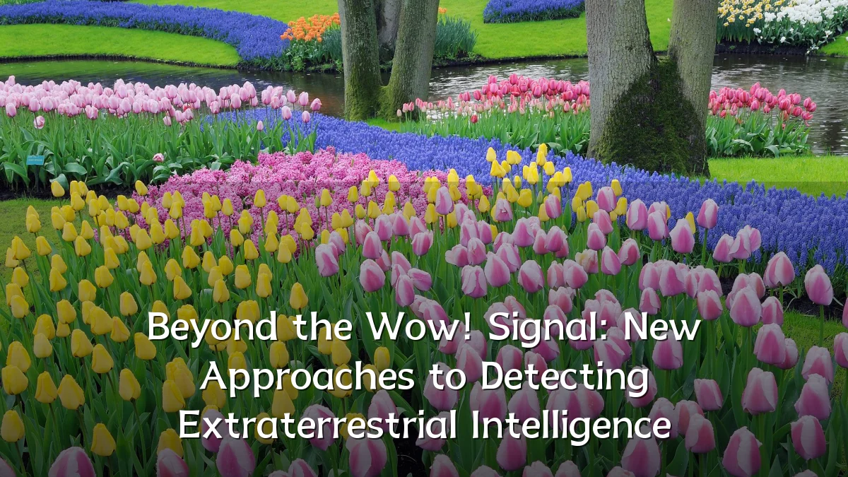 Beyond the Wow! Signal: New Approaches to Detecting Extraterrestrial Intelligence