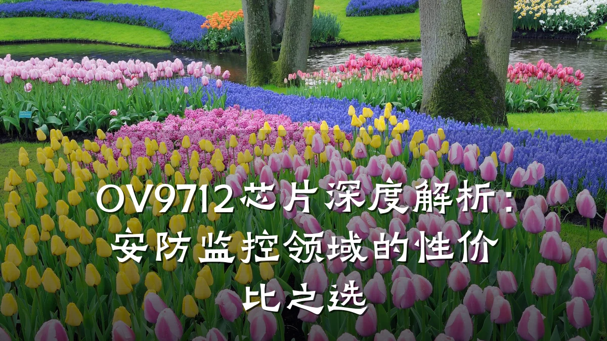 OV9712芯片深度解析:安防监控领域的性价比之选