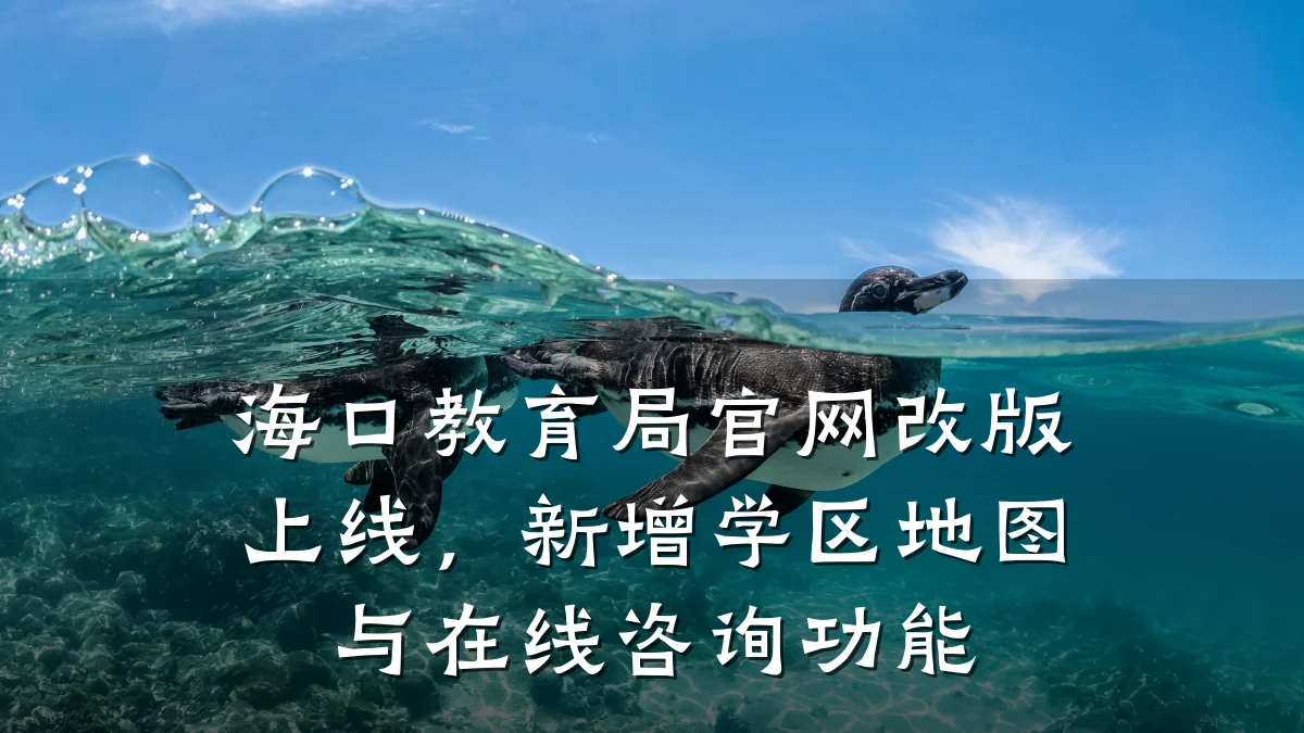 海口教育局官网改版上线,新增学区地图与在线咨询功能