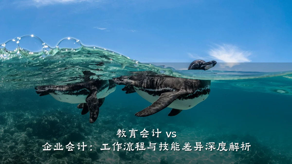 教育会计 vs 企业会计：工作流程与技能差异深度解析